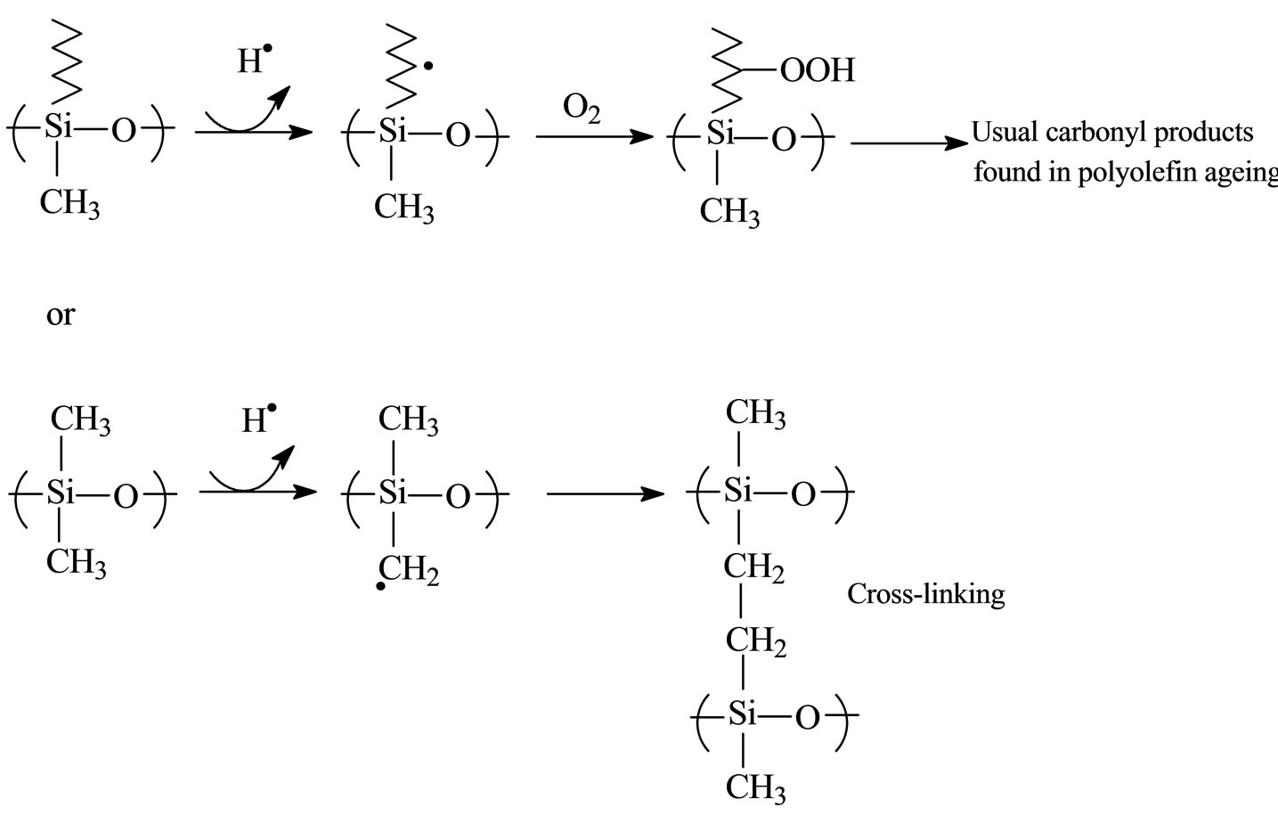 Oxidation, Chain Scission and CrossLinking Studies of Polysiloxanes