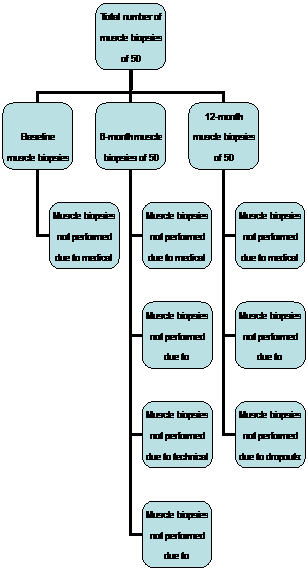 Muscle and adipose tissue biopsy in older adults with type 2 diabetes