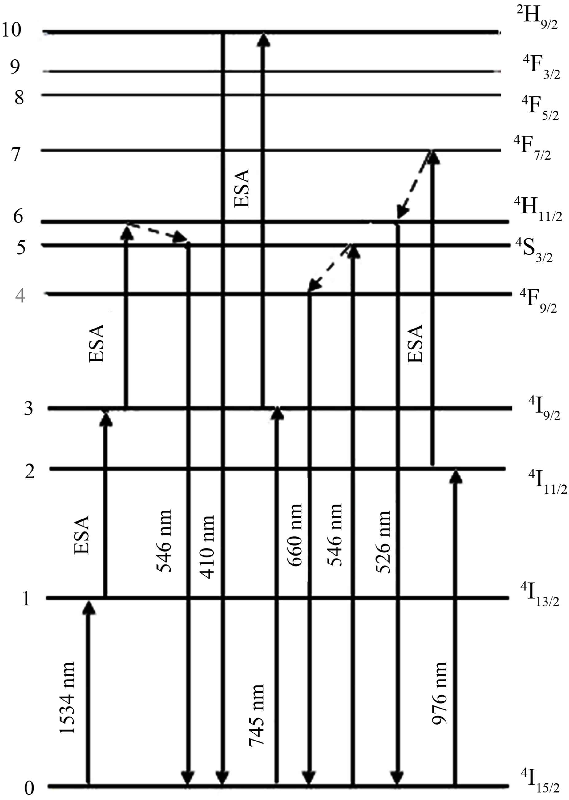 Triple And Double Photons Absorption Process And Down Conversion Laser 