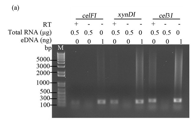 Improved Method for Isolation of Microbial RNA from Biofuel Feedstock ...