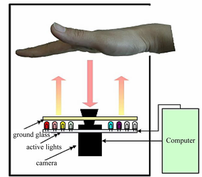 Human Identity Verification Using Multispectral Palmprint Fusion