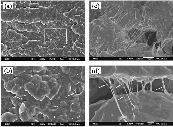 洋書 carbon-containing polymer composites Carbon Nanotube–Polymer Composites: Device Properties and