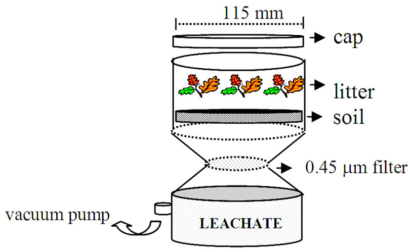 Litter Decomposition and Soluble Carbon, Nitrogen, and Phosphorus ...