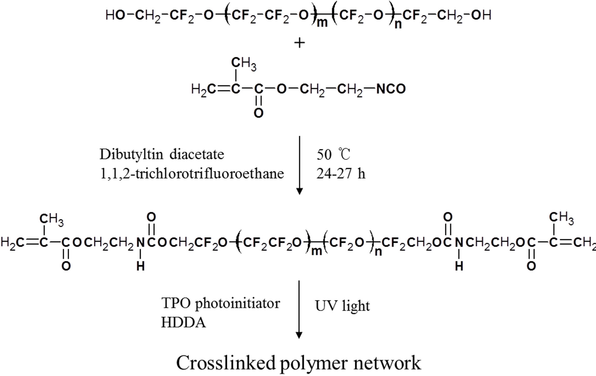 Photocuring Behaviors of UVCurable PerfluoropolyetherBased