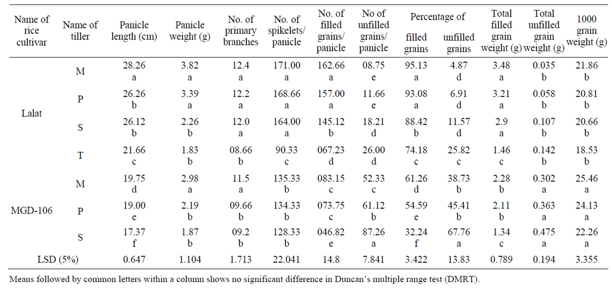 Variation in Senescence Pattern of Different Classes of Rice Tillers