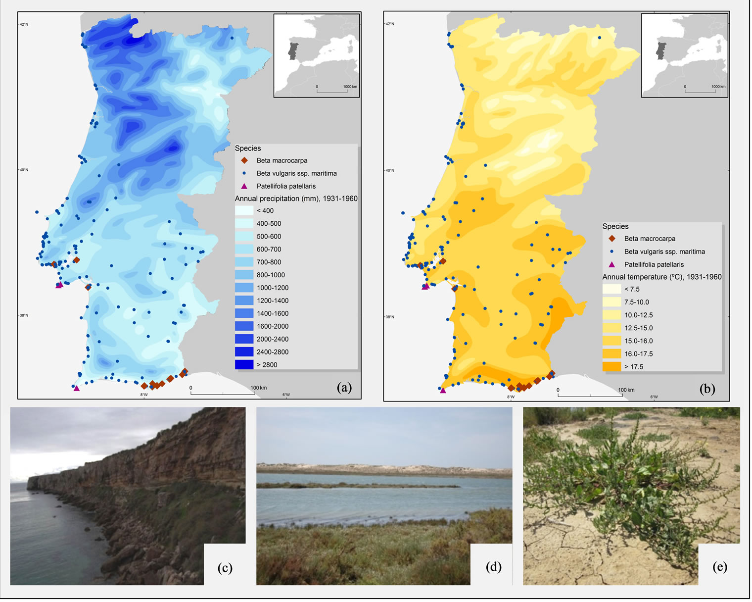 Biodiversity Assessment of Sugar Beet Species and Its Wild Relatives ...
