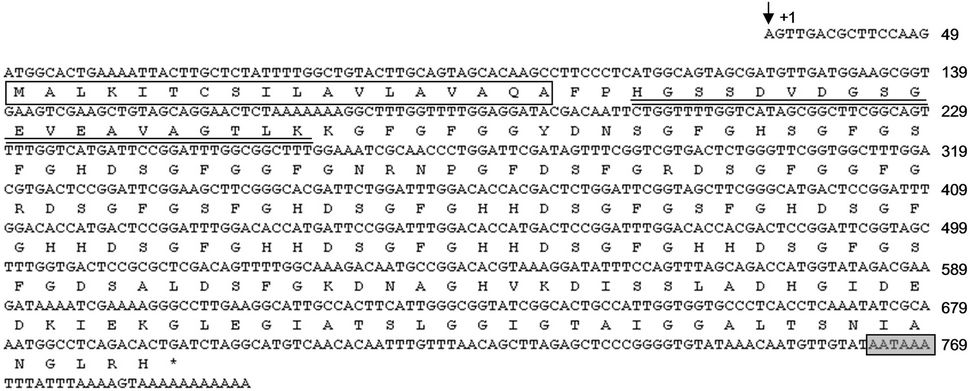 【激安通販 オンラインショップ】日用品 A silkworm hemolymph protein is a prophenoloxidase コンタクトレンズ