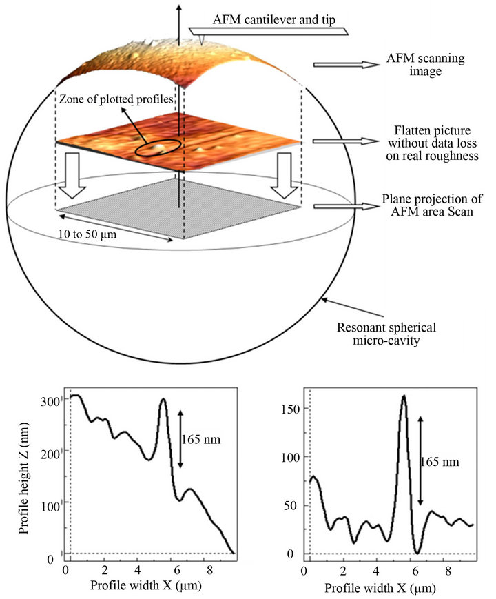 AFM Analysis on Polymer Optical Micro-Resonators: Investigation on ...