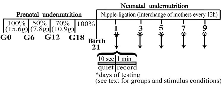 Underfed Rats Development of the Gusto Facial Reflex in Perinatally Undernourished Rats