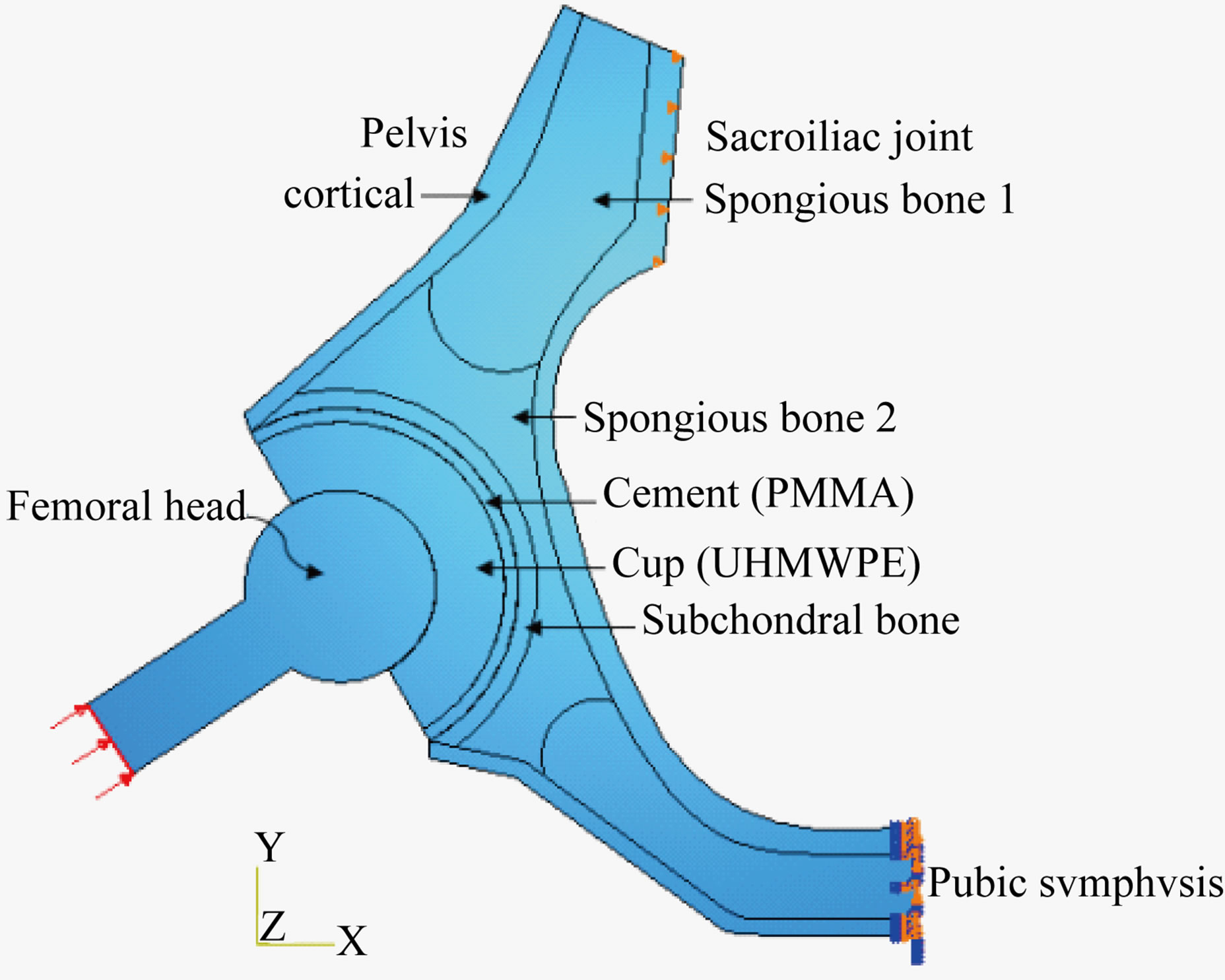 Effect of the Cavity-Cavity Interaction on the Stress Amplitude in