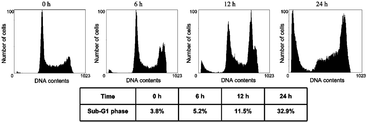 Novel histone deacetylase inhibitor exhibits antitumor activity via ...