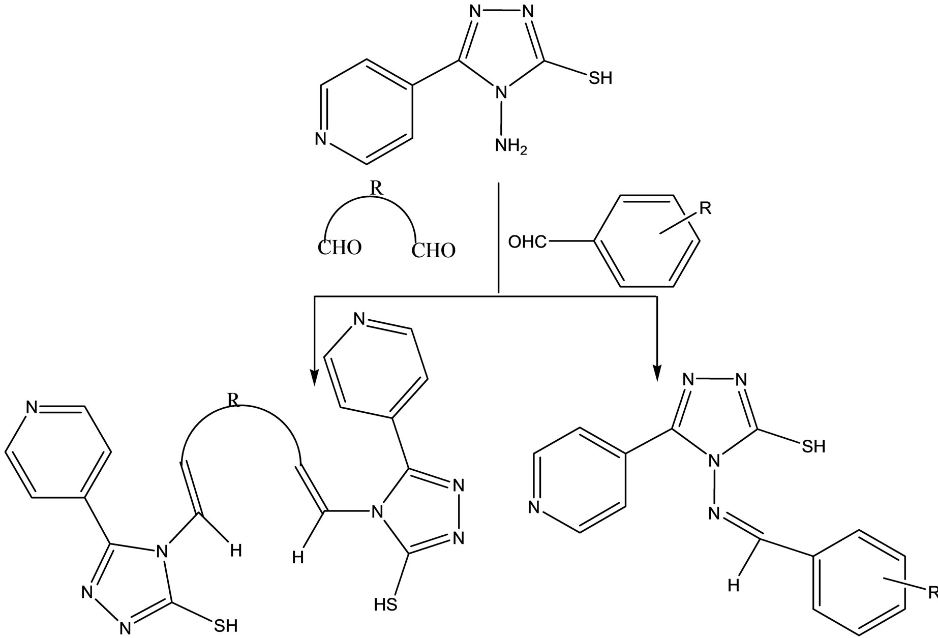 Biological Activities of Schiff Bases and Their Complexes: A Review of ...