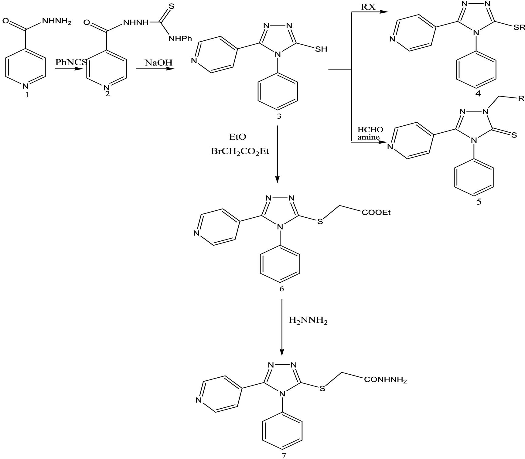 Biological Activities of Schiff Bases and Their Complexes: A Review of ...