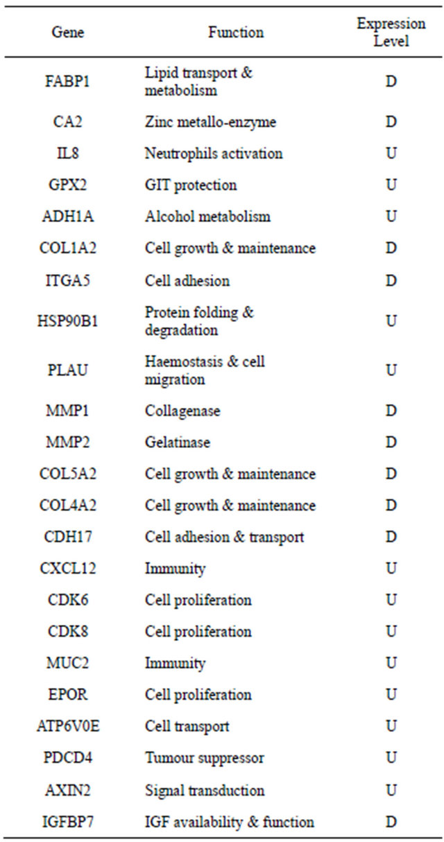 Clinical applications of molecular profiling in colorectal cancer ...