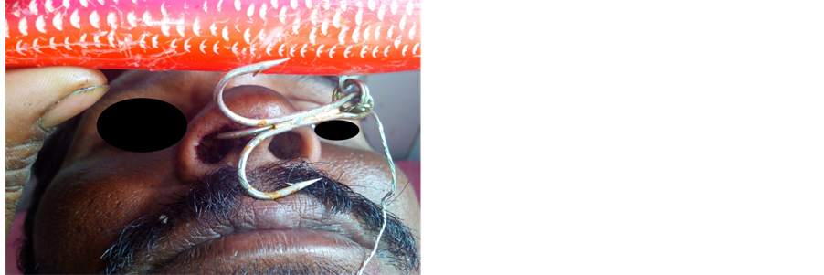 bible times piercing noses with fish hooks Hook Earring Pair and its available in your choice of silver or gold plated stainless steel. A ring on her nose,
