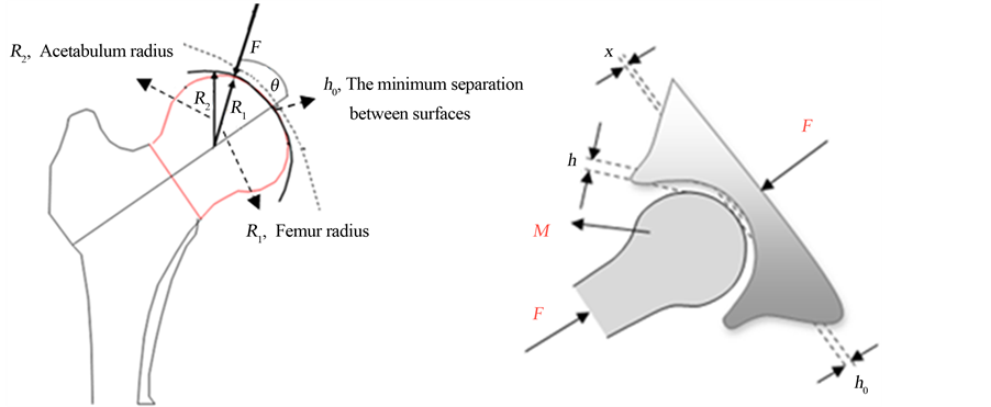A Contact Model for Establishment of Hip Joint Implant Wear Metrics
