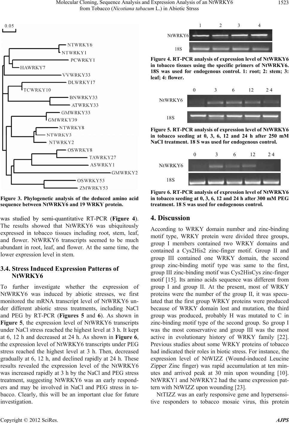 Molecular Cloning, Sequence Analysis and Expression Analysis of an ...