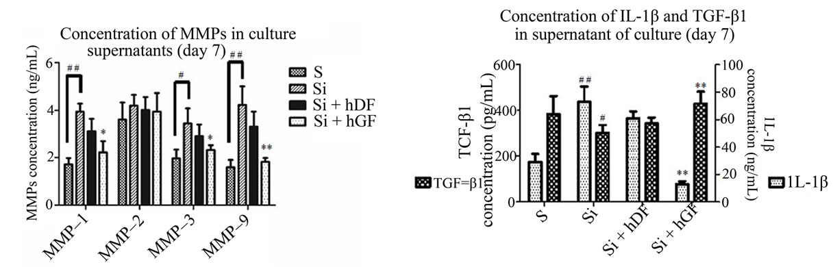 Inhibition of elastin and collagen networks degradation in human skin ...
