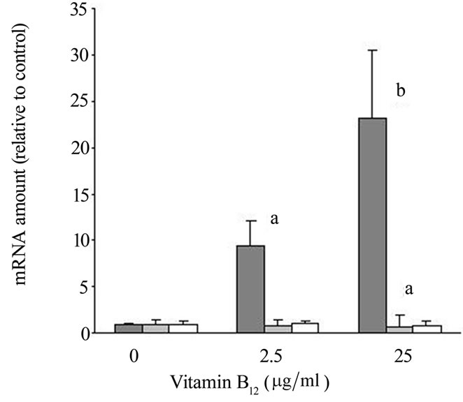 Vitamin B12 Activates the Wnt-Pathway in Human Hair Follicle Cells by  Induction of beta-Catenin and Inhibition of Glycogensynthase Kinase-3  Transcription
